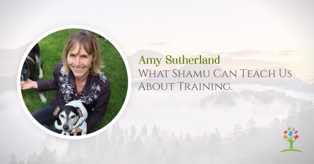 Animal Training